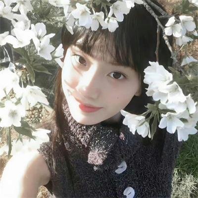2024青春芒果节